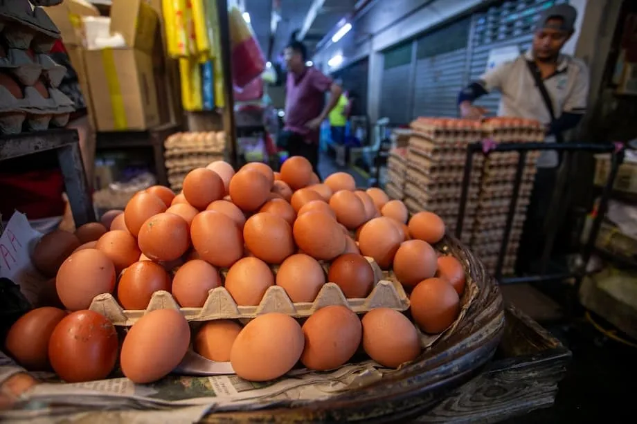 Egg prices hold steady as subsidy reduction takes effect; consumers urged …