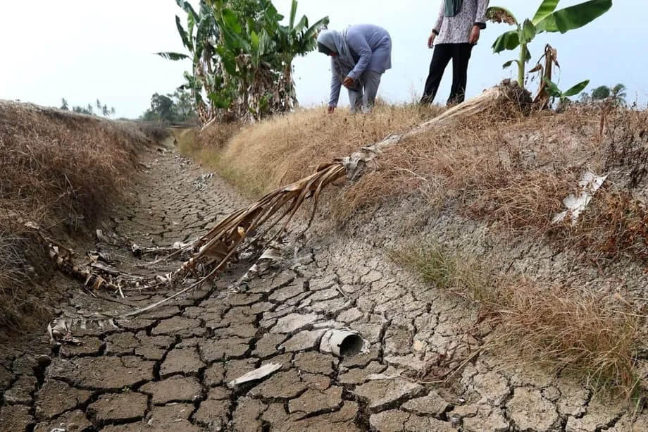 जोहोर में डेटा केंद्रों की तेज़ बढ़त के बीच पानी का संकट