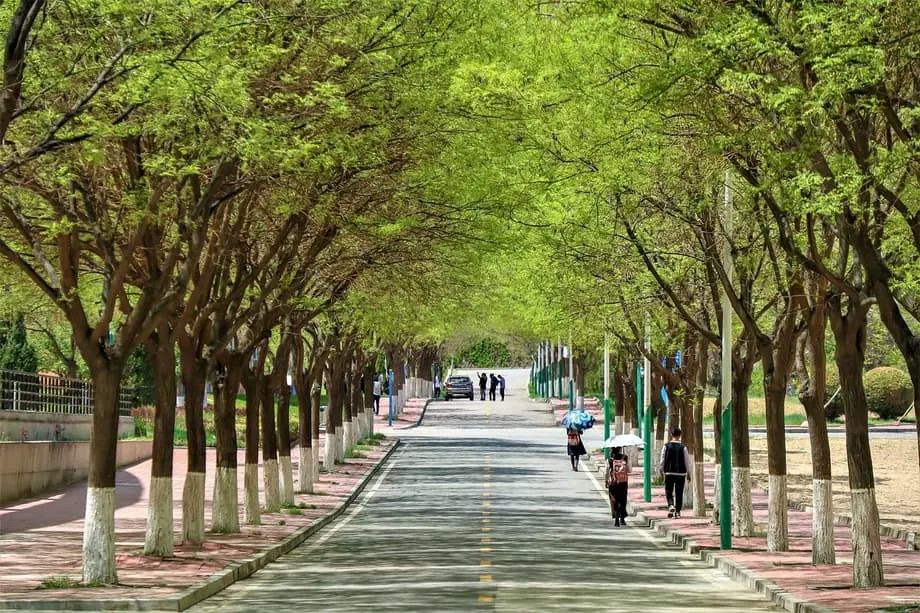 road, campus, china, school, street, youth, campus, campus, campus, campus, campus