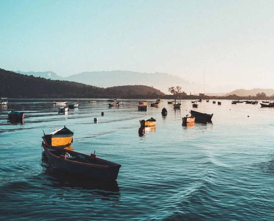 WMO Confirms 2015 to 2025 Were the 11 Hottest Years as Vietnam Links Climate Action to Growth